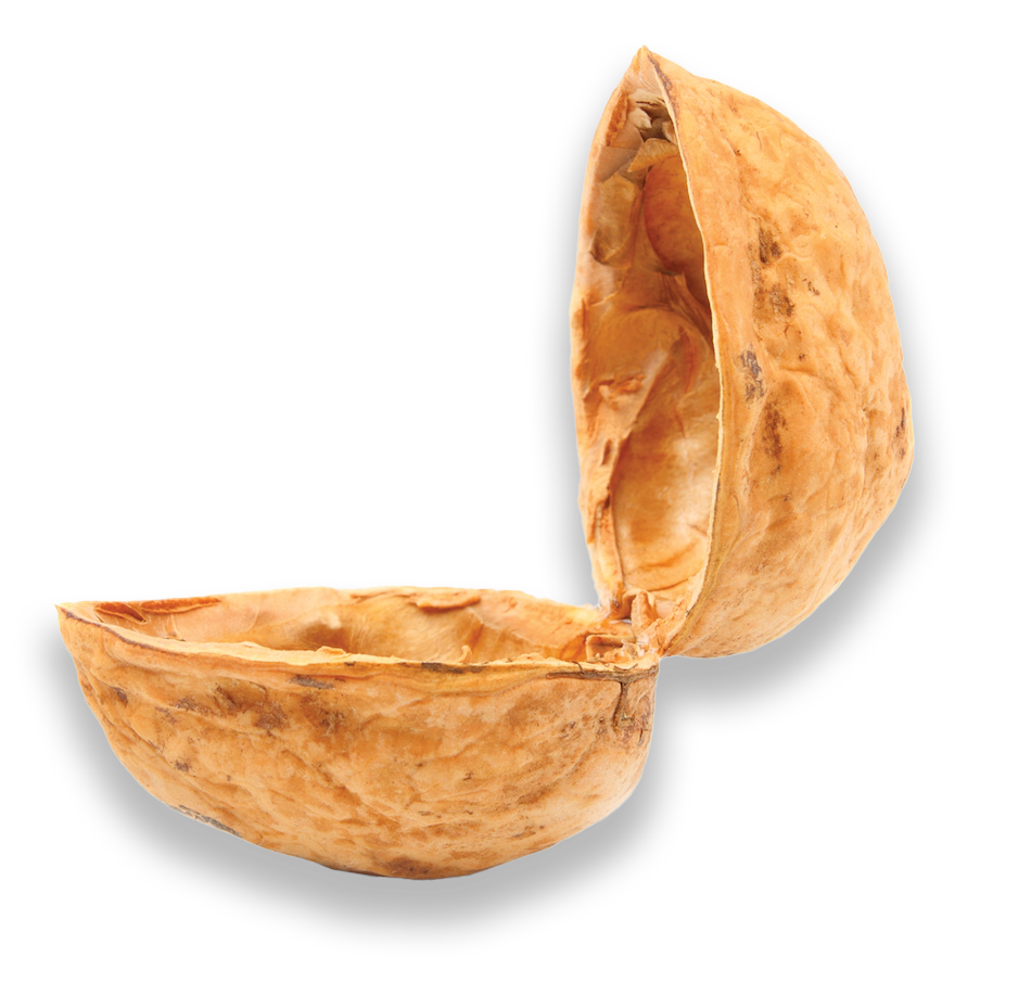 final nut